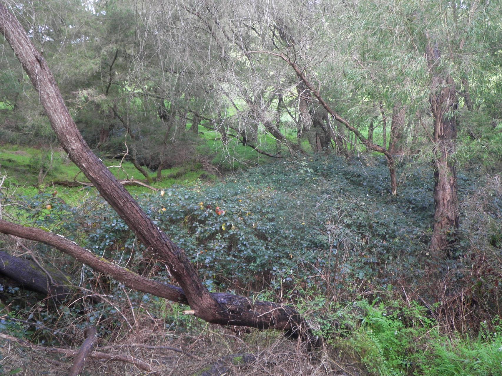 Description of image