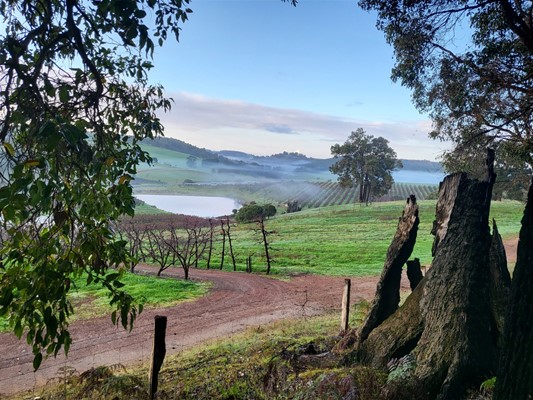 Shire Photography Competition - Mullalyup Orchard Valley