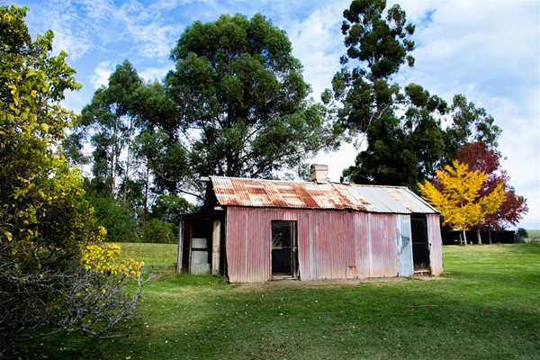 Shire Photography Competition - Old Shed