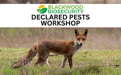 Declared Pests Workshop